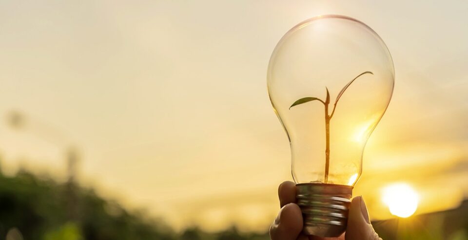 Hoy 5 de marzo, Día Mundial de la Eficiencia Energética