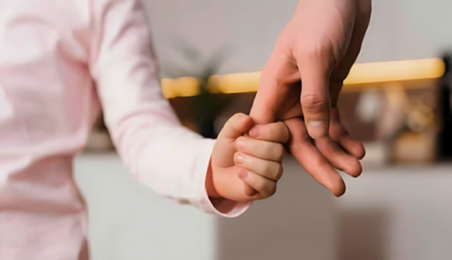 En Jujuy hay más de 150 deudores alimentarios