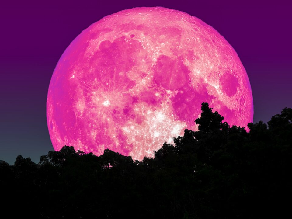 Luna Rosa: Cuándo podrá verse 