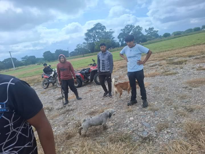 Detuvieron al joven que mató de un disparo a un perro 