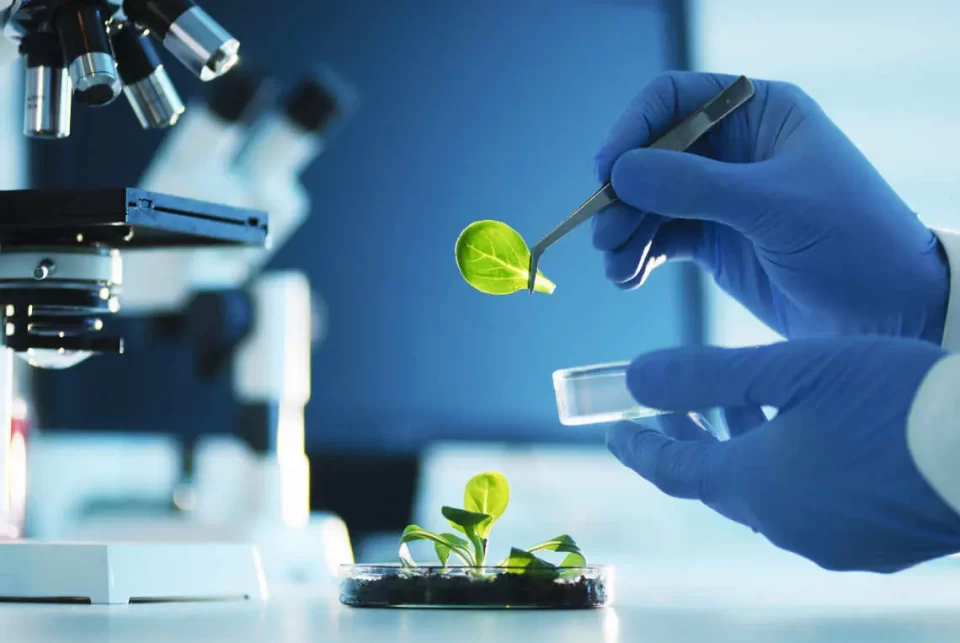 Hoy 16 de junio, Día Internacional de la Biotecnología 