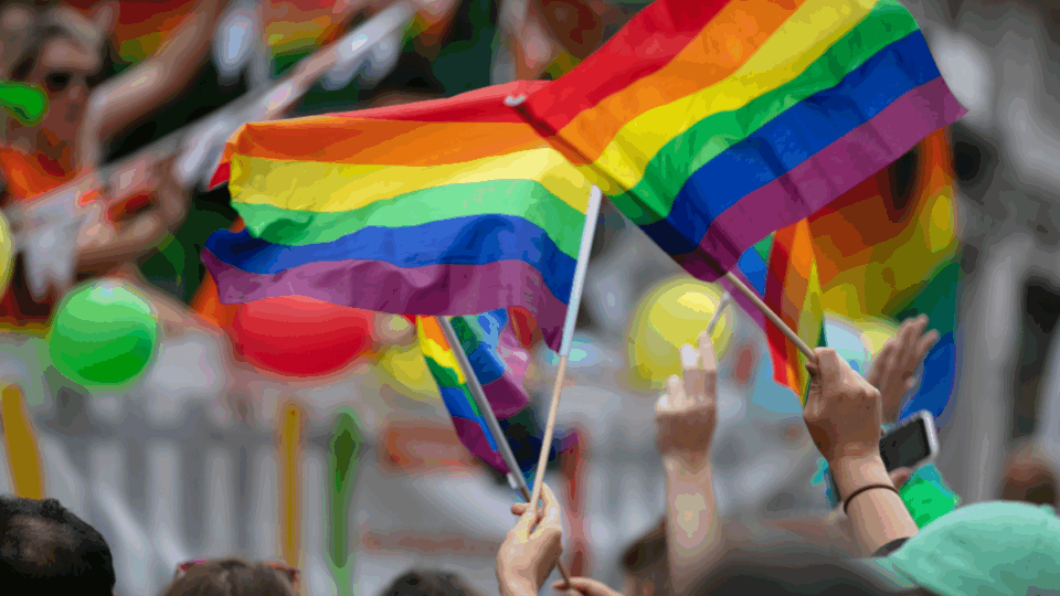 Hoy 28 de junio, Día Internacional del Orgullo LGBT