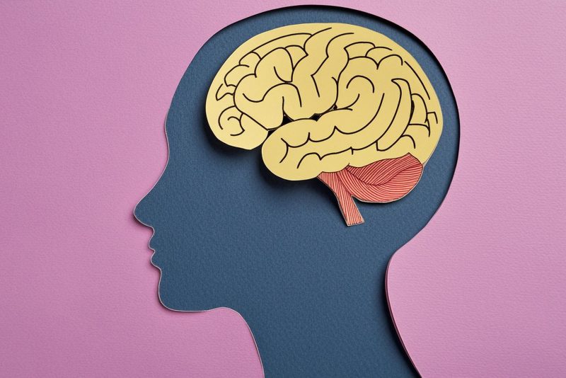 Hoy 22 de julio, Día Mundial del Cerebro 