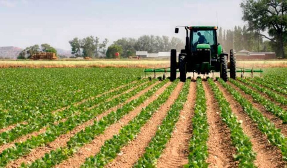 Hoy 2 de julio, Día de la Agricultura Nacional 