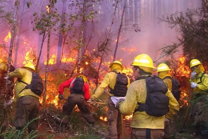 Hoy 18 de agosto, Día Mundial de la Prevención de Incendios Forestales