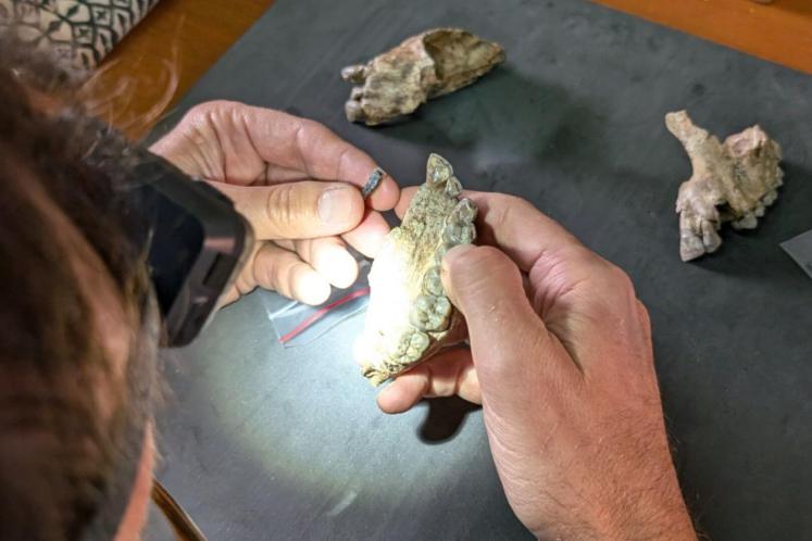 Descubren una especie humana desconocida 