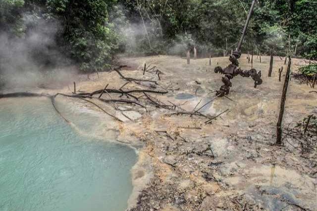 La Justicia ordenó frenar la explotación petrolera en el Parque Calilegua 