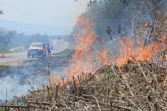 Registraron un incendio sobre Ruta 66 cerca de Alto Comedero 