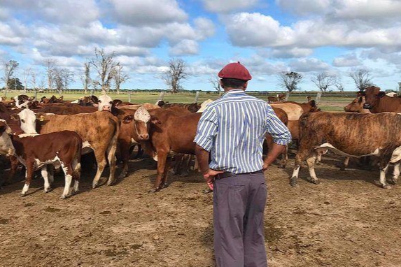 Hoy 8 de octubre, Día del Trabajador Rural 