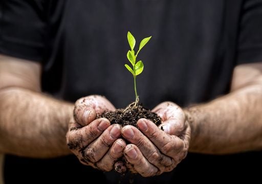 Hoy 18 de Octubre, Día Mundial de la Protección a la Naturaleza