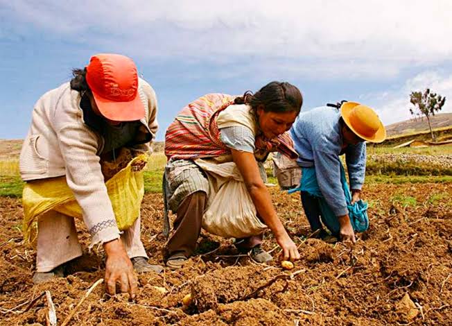 Hoy 15 de octubre, Día Internacional de las Mujeres Rurales 