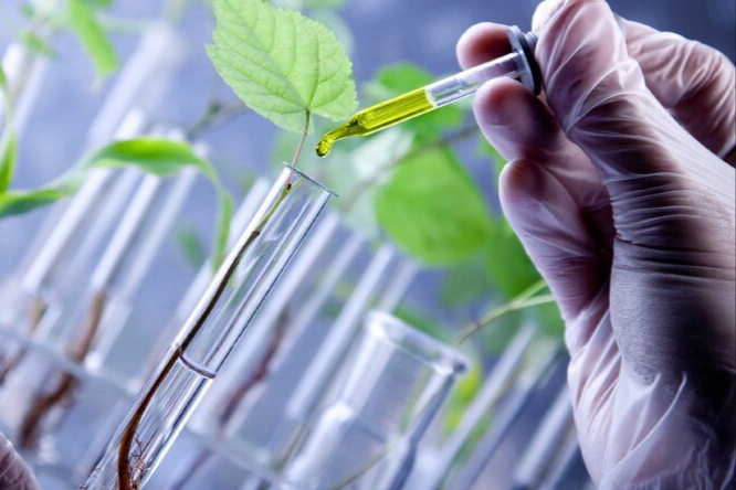Hoy 10 de noviembre, Día Mundial de la Ciencia para la Paz y el Desarrollo