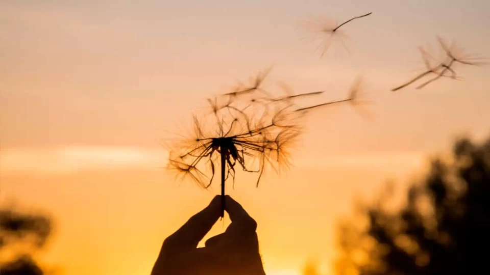 Hoy 21 de noviembre, Día Mundial del Aire Puro