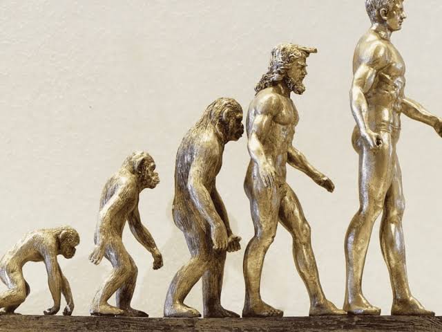 Hoy 24 de noviembre, Día Mundial de la Evolución