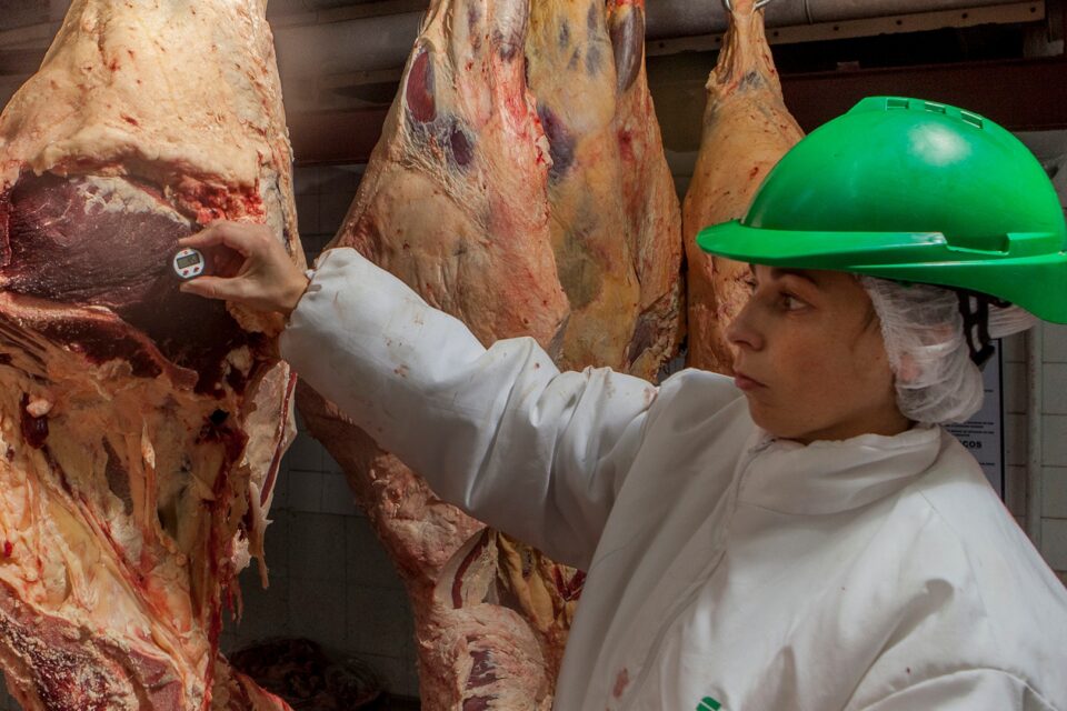 Hoy 19 de diciembre, Día del Trabajador de SENASA   