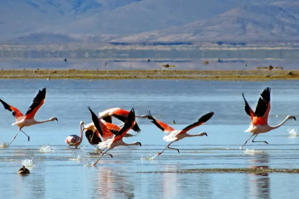 Cerraron la Laguna de los Pozuelos 