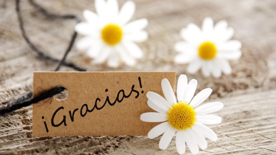 Hoy 11 de enero, Día Mundial del Agradecimiento