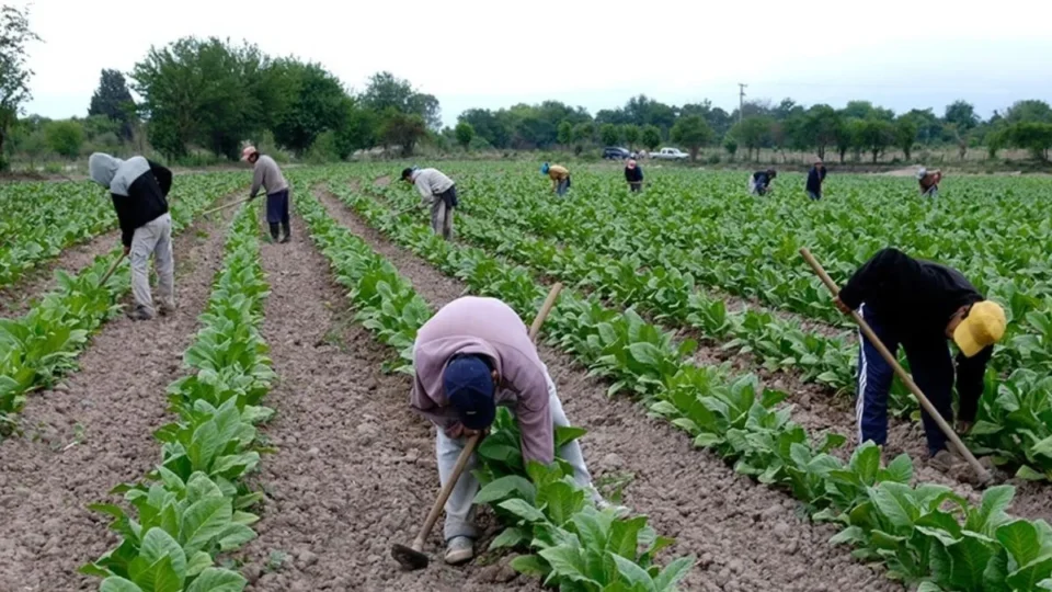 Cámara del Tabaco insiste en un aumento mayor