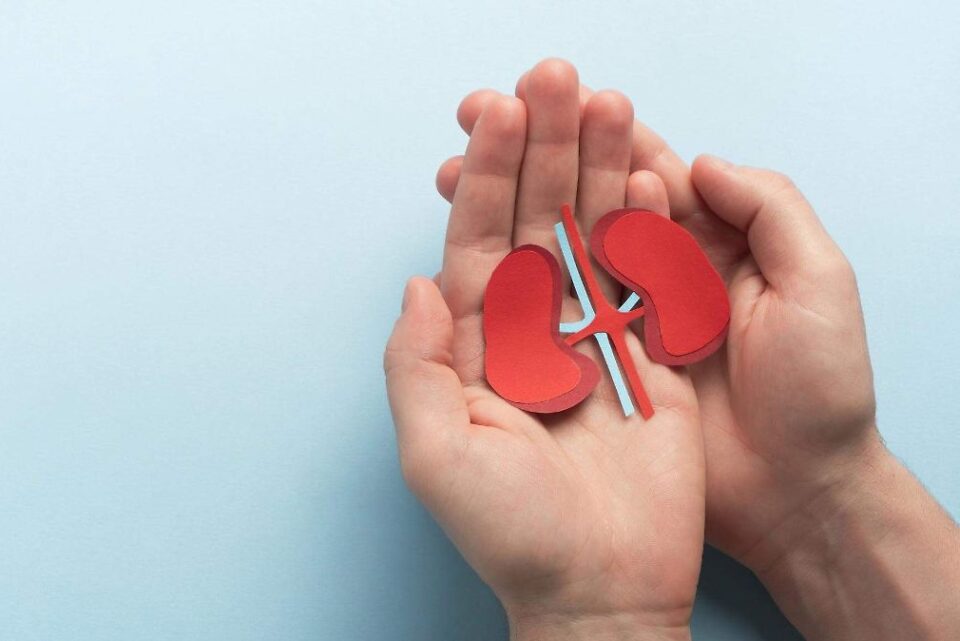 Hoy 9 de marzo, Día Mundial del Riñón