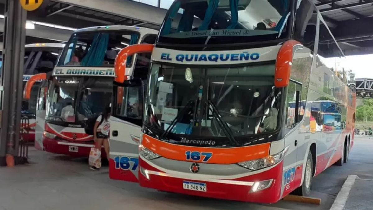 Nuevo aumento en el transporte de media distancia - 24SieteNiticias.com
