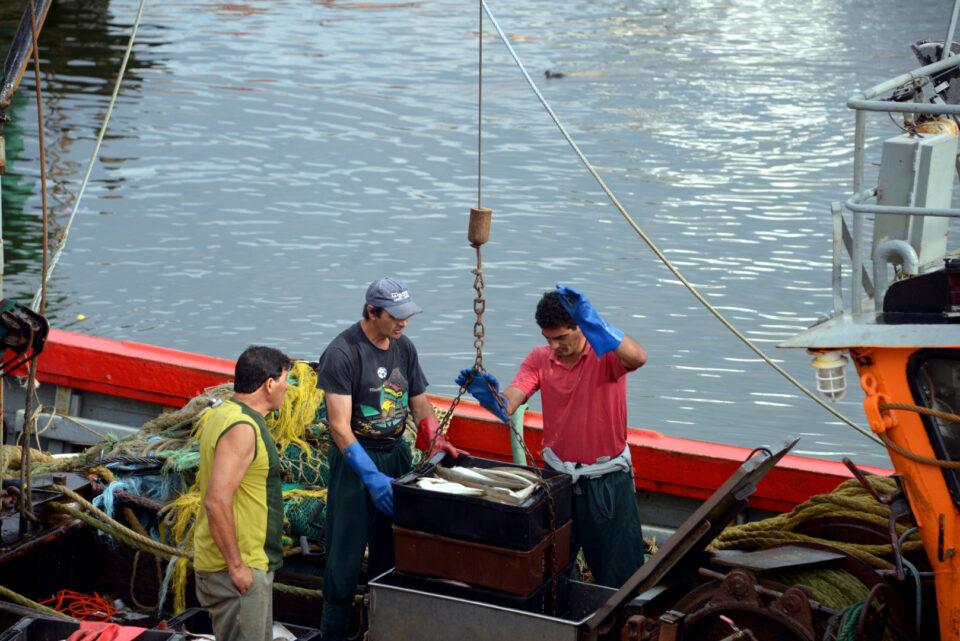 La pesca registró en marzo un aumento interanual del 31,6%