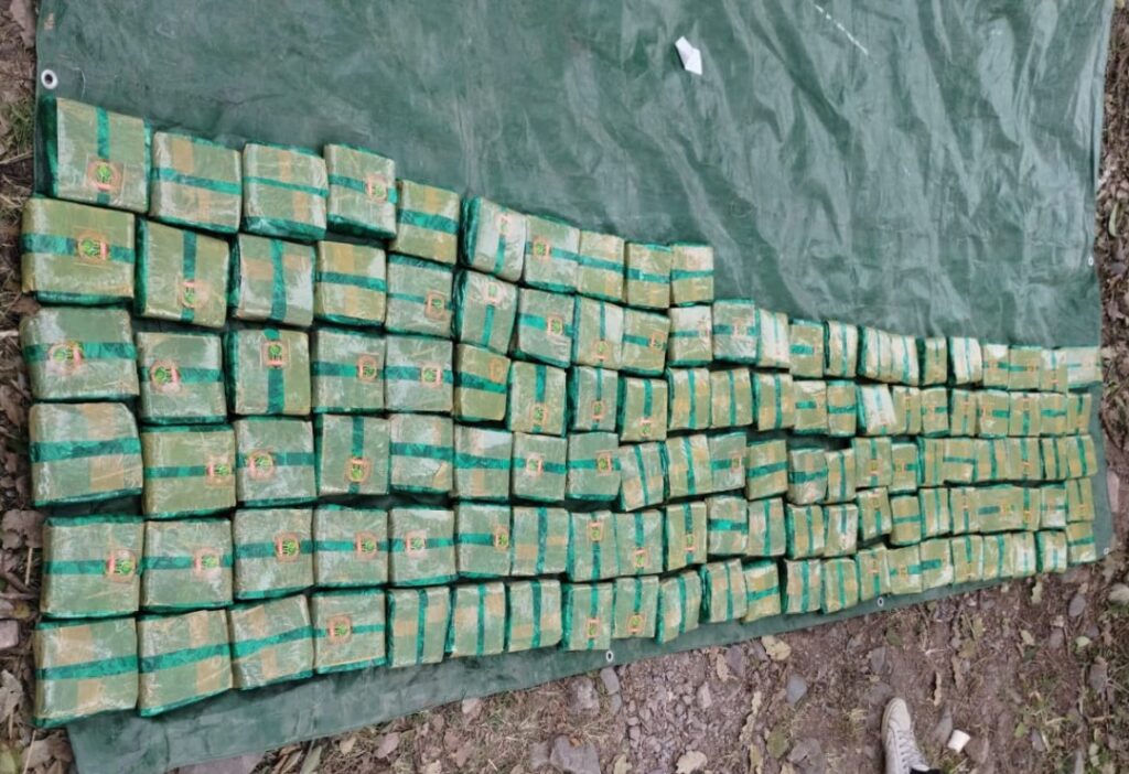 Secuestraron 566 kilos de hojas de coca en Ruta Nacional 9 