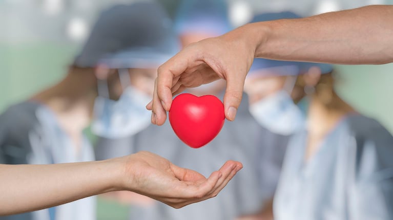 Hoy 6 de junio, Día Mundial de los Pacientes Trasplantados