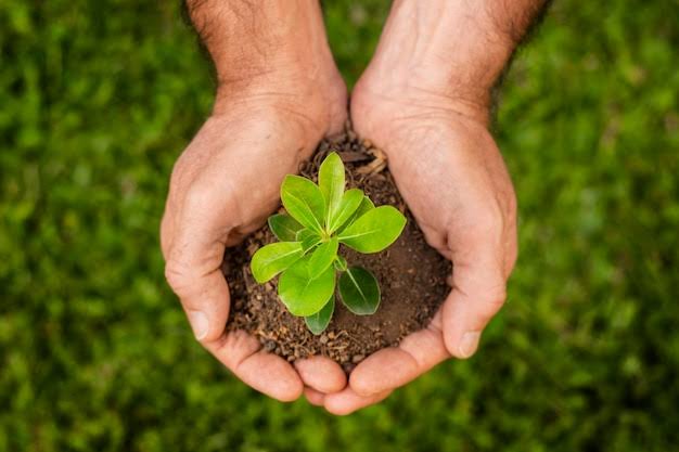 Hoy 5 de junio, Día Mundial del Medio Ambiente