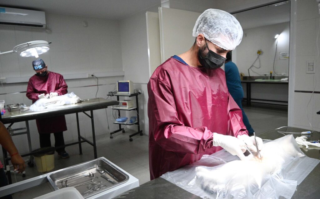 Hoy 6 de julio, Día Mundial de la Zoonosis