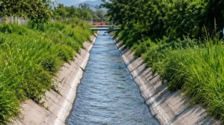 Revelaron la causa de muerte de la pareja hallada en Perico 