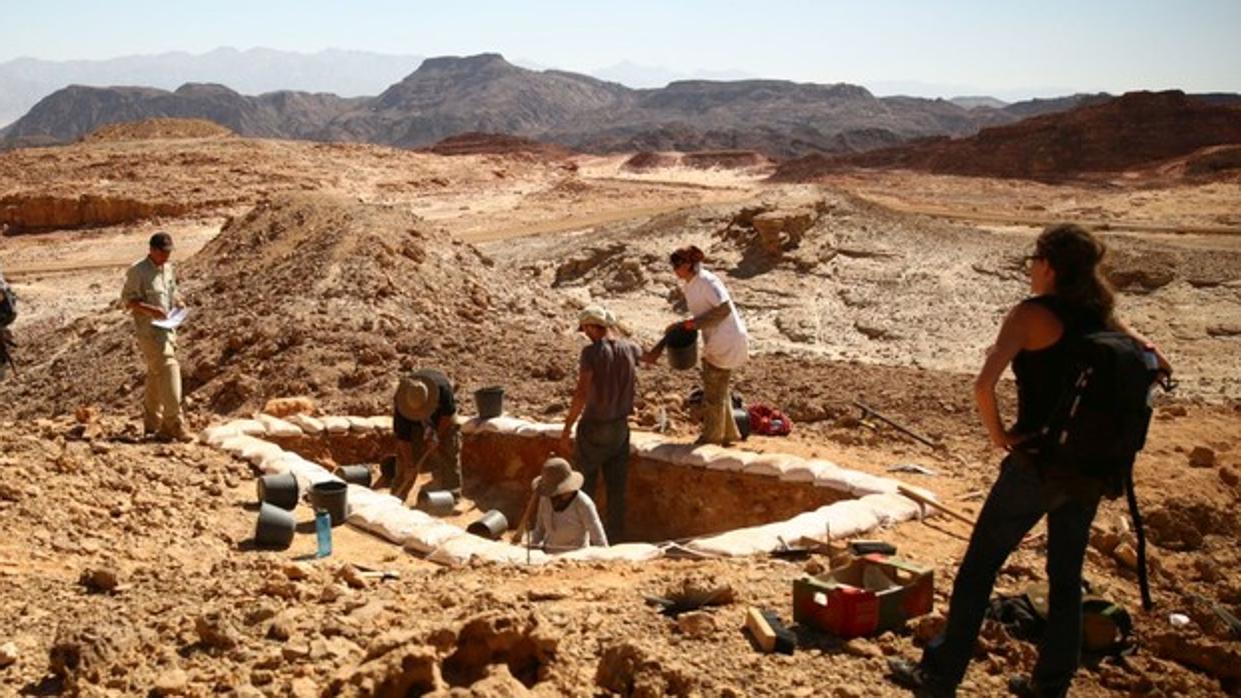 Encontraron fósiles de tiburones en el desierto de Egipto 