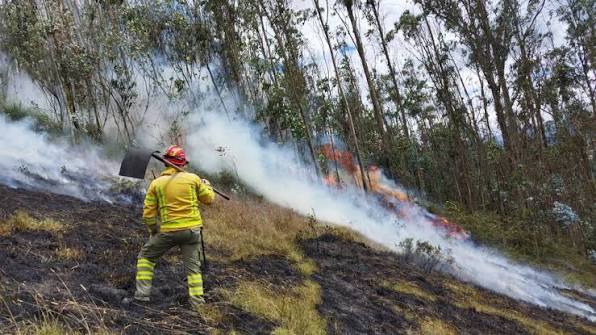 Hoy 18 de agosto, Día Mundial de la Prevención de Incendios Forestales