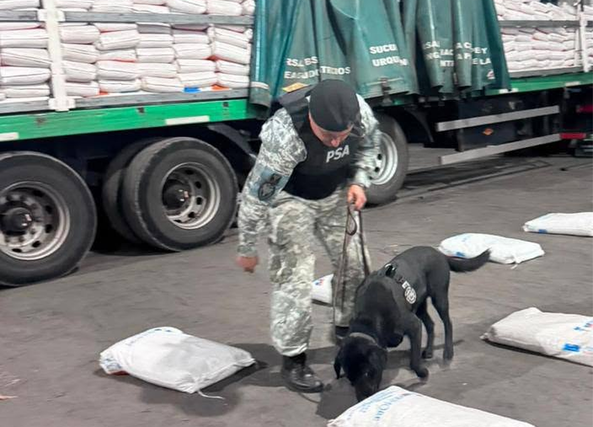 Desarticularon una organización que traficaba cocaína 