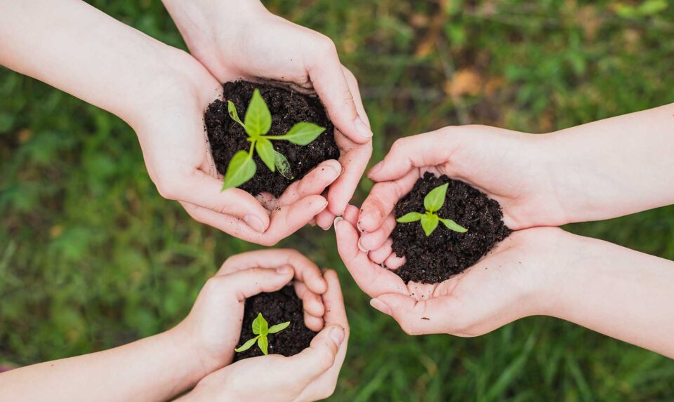 Hoy 27 de septiembre, Día de la Conciencia Ambiental