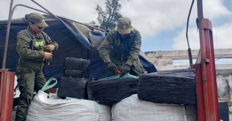 Decomisaron 420 kilos de hoja de coca 