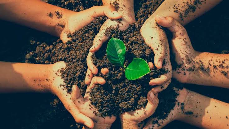 Hoy 18 de Octubre, Día Mundial de la Protección a la Naturaleza