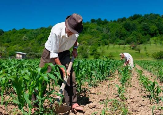 Hoy 8 de octubre, Día del Trabajador Rural 