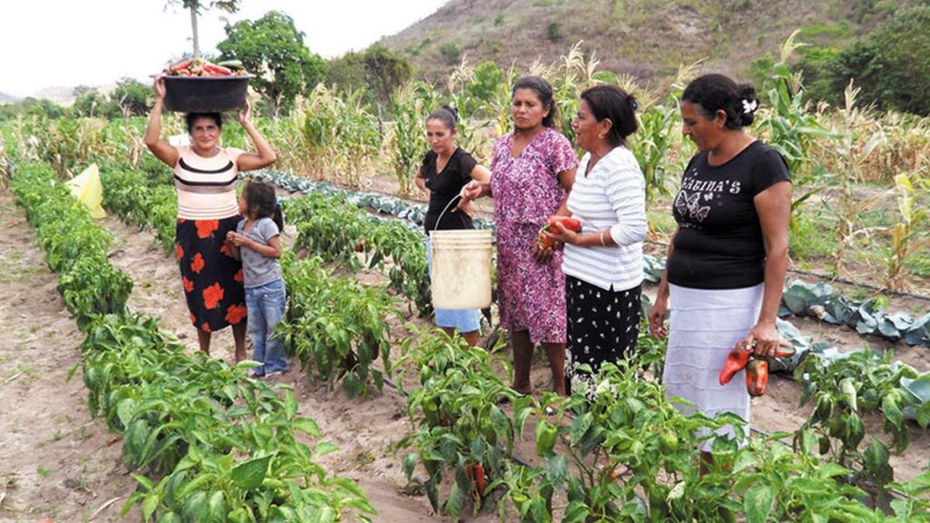 Hoy 15 de octubre Día Internacional de las Mujeres Rurales